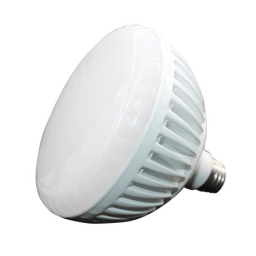 Pure White Warm LED Pool Lamp 300W 12V