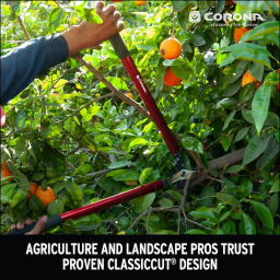 ClassicCUT Bypass Lopper - 26 Inch