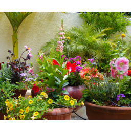 FM01AS Patio Drip Watering Kit