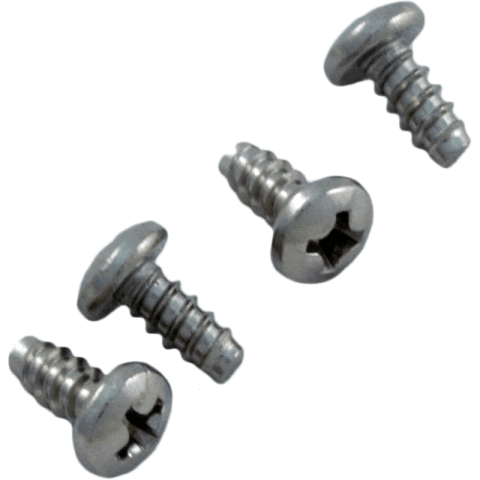 Genuine OEM Mechanism Screw S.S. (each)