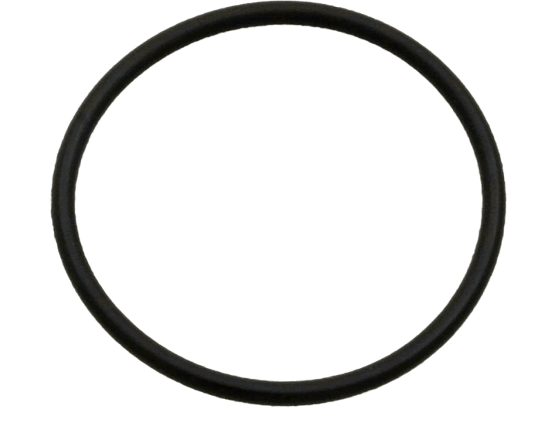 Polaris 380/360 Feed Pipe Assembly ORing 91005132