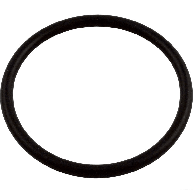 Bulkhead O-Ring For Sandpiper