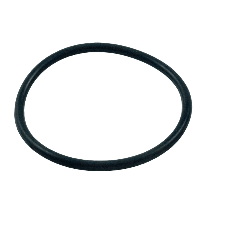 Pentair 273062 Dynamo Strainer Pot O-Ring | PoolZoom.com Pentair 273062 Dynamo Strainer Pot O-Ring | PoolZoom.com