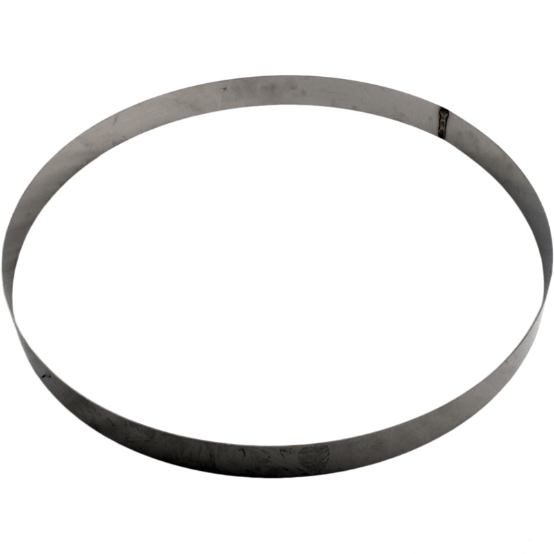 Genuine OEM Back-Up Ring SS