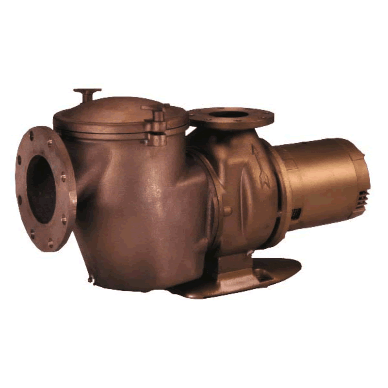 C Series Commercial Bronze Pump 10HP 230V 1PH COMM