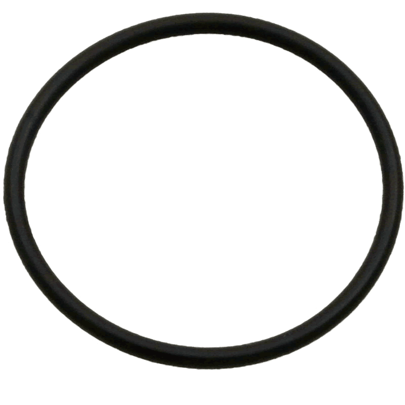 Genuine OEM O-Ring, Feed Pipe Assembly (380/360)