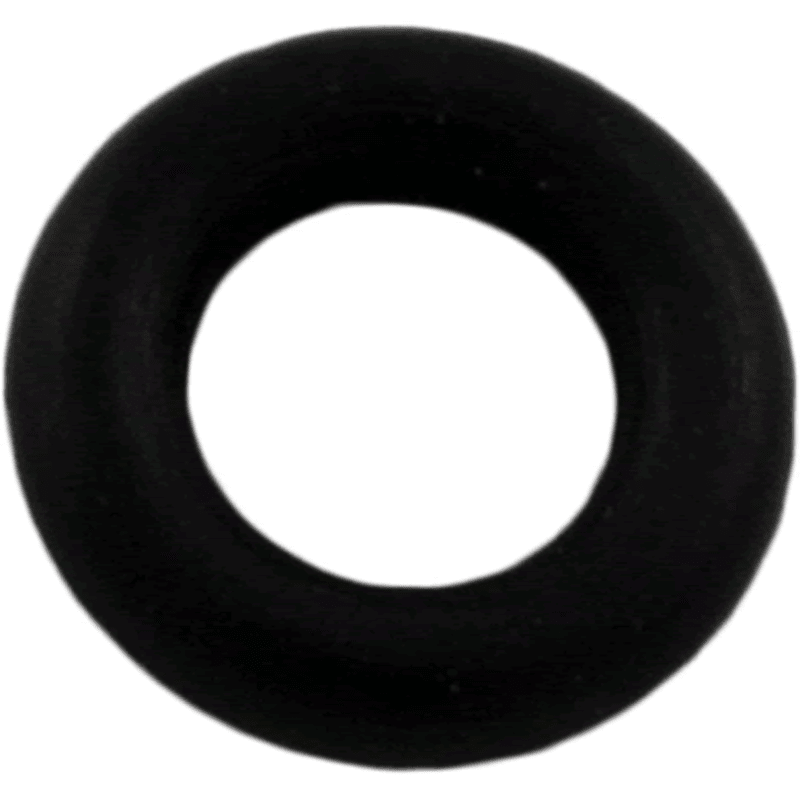 Impeller O-Ring