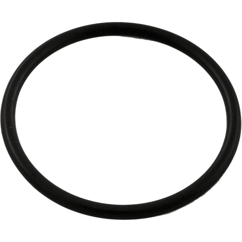 O-Ring, 2" ID
