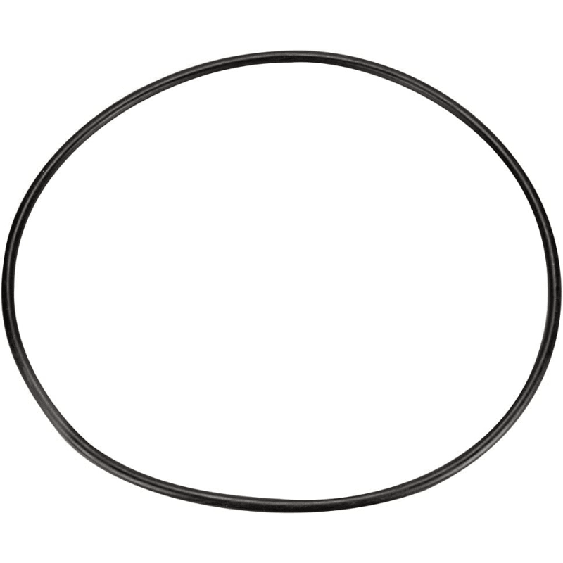 Seal Plate O-Ring for IntelliFlo3 VSF 1.5 HP Pump