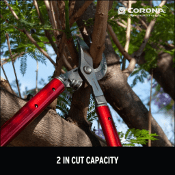 ClassicCUT Bypass Lopper - 26 Inch