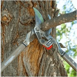 DualLINK Forged Bypass Lopper - 31 Inch