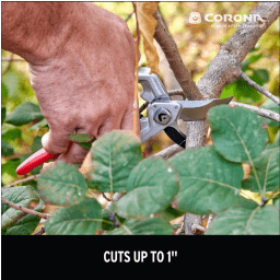 XSeries Pro Bypass Pruner - 1 Inch (CCH)
