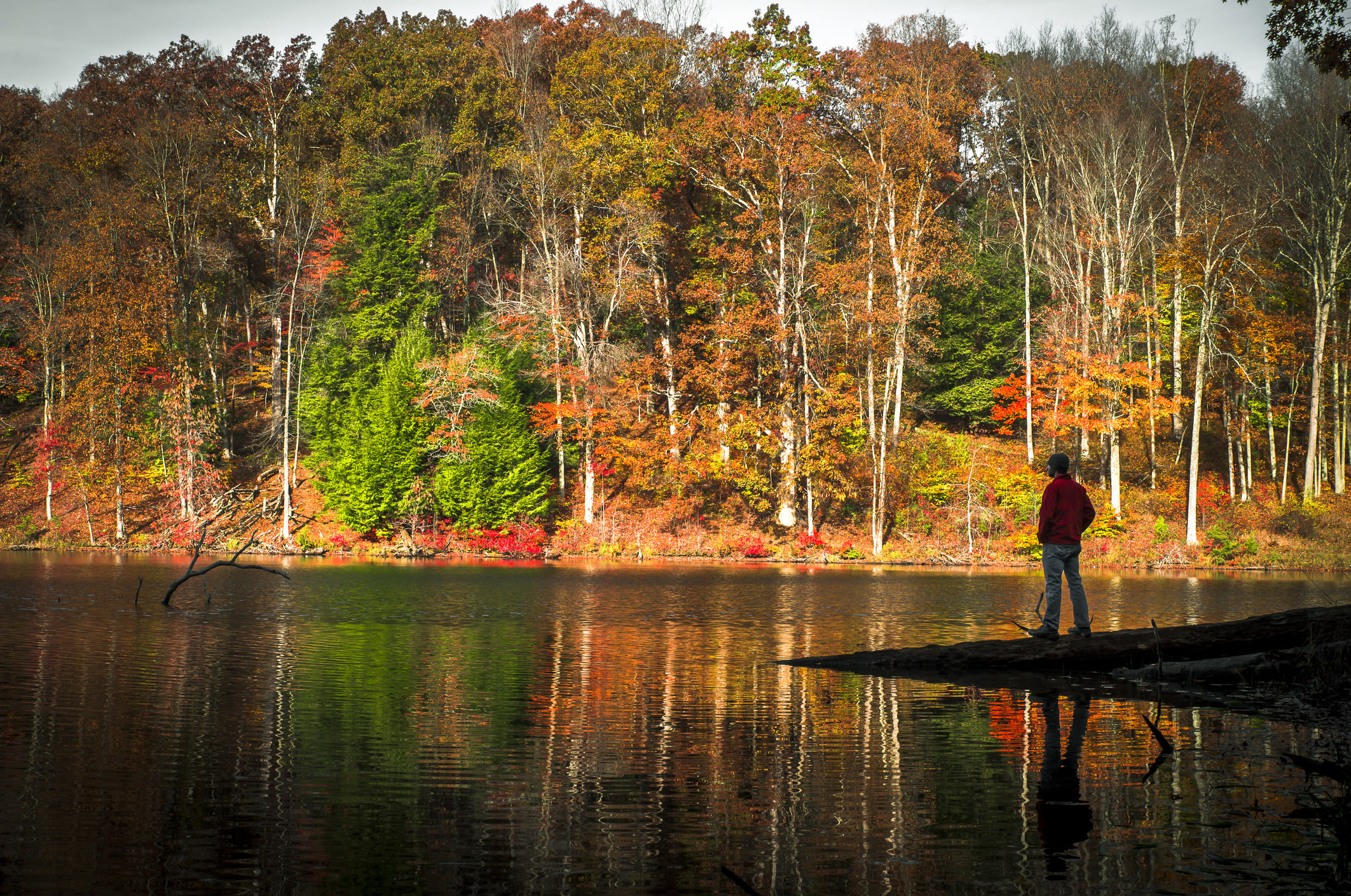 Fall foliage at Rose Lake in Hocking Hills Ohio — red and orange trees reflected on water