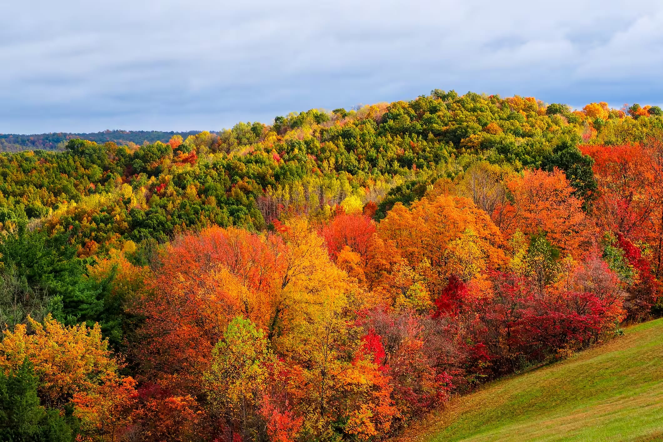 Autumn color across the forested gorges of Hocking Hills in southeastern Ohio