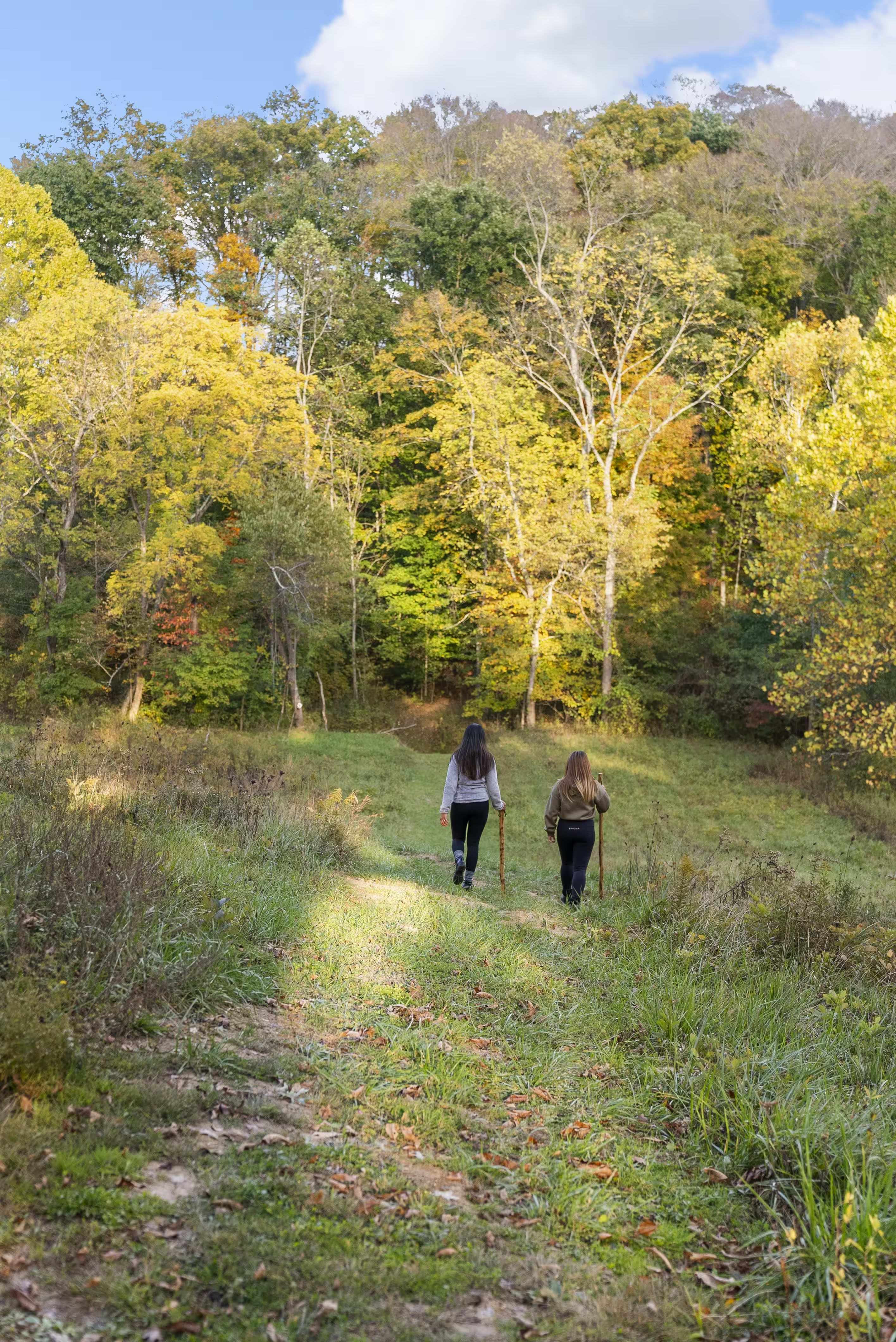 Accessible hiking in Hocking Hills, Ohio