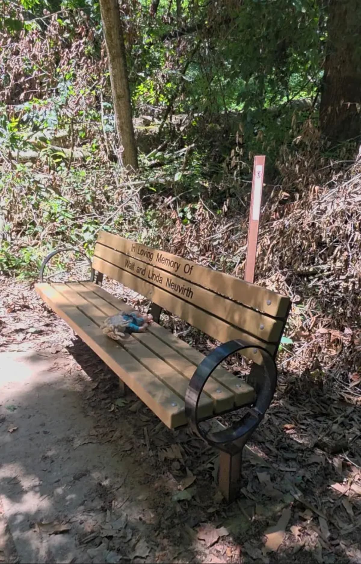Bench resting area along the Ash Cave trail, Hocking Hills Ohio