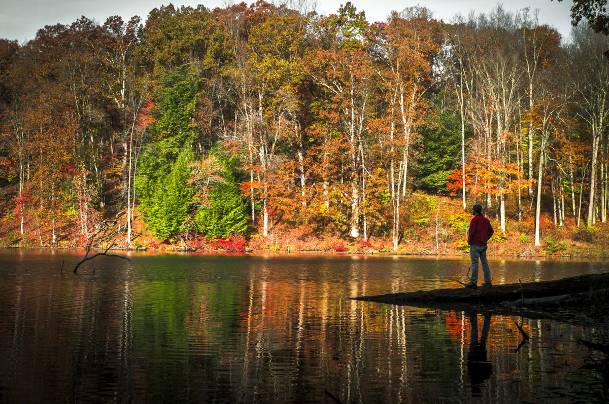 Fall foliage reflected on a lake in the Hocking Hills Southern Region Ohio