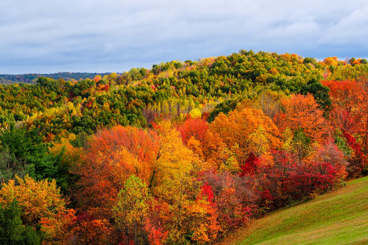 Hocking Hills Ohio fall foliage with vibrant autumn colors across the hillside