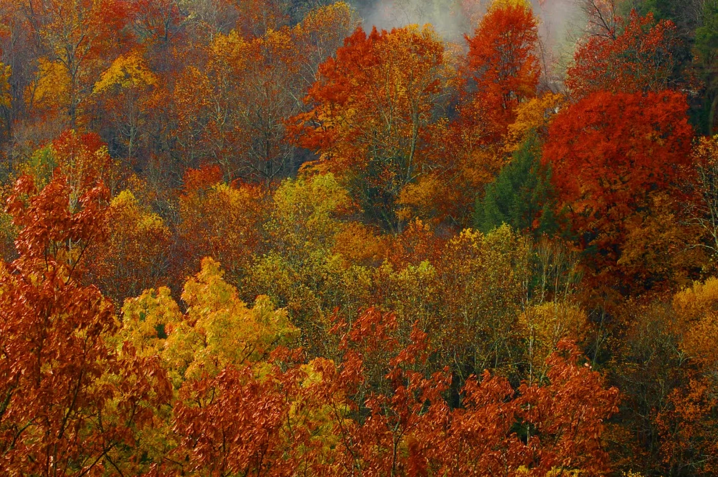 Peak fall foliage aerial view in Hocking Hills Ohio in October