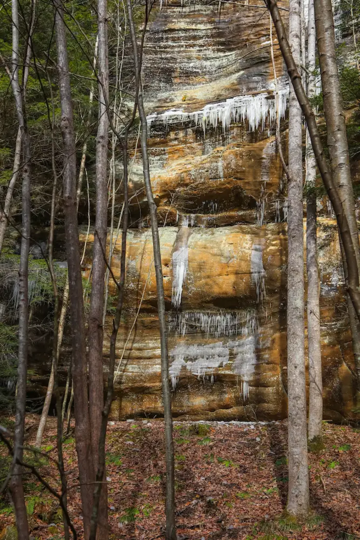 Icicles on a sandstone cliff in Hocking Hills in December
