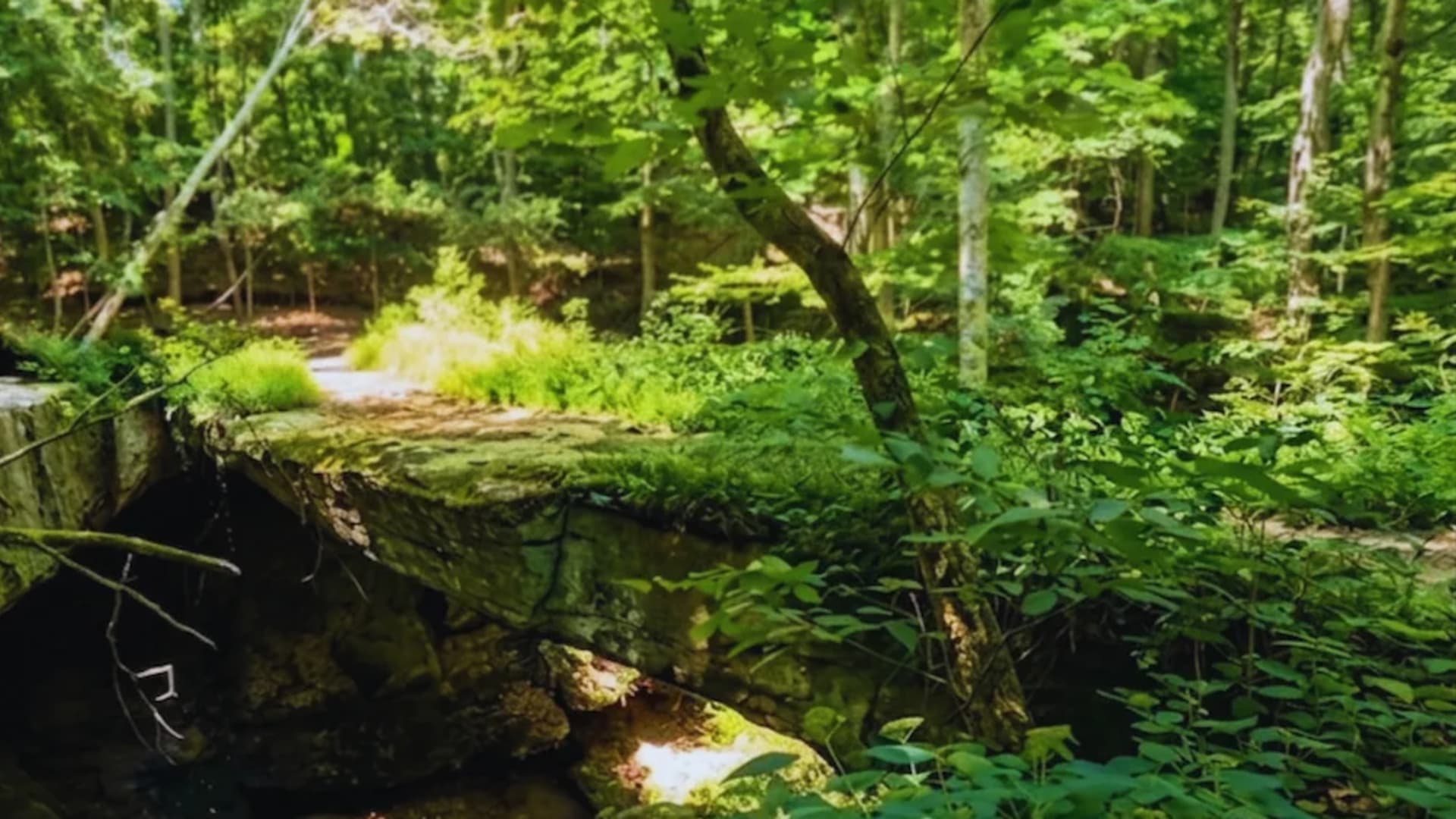 Natural stone arch at Rockbridge State Nature Preserve in Hocking Hills, Ohio, spanning a wooded ravine