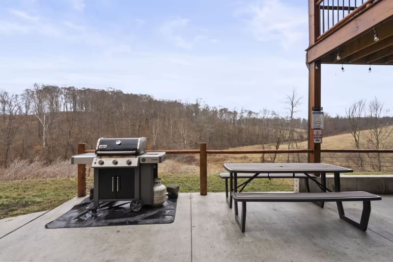Propane grill  lower level