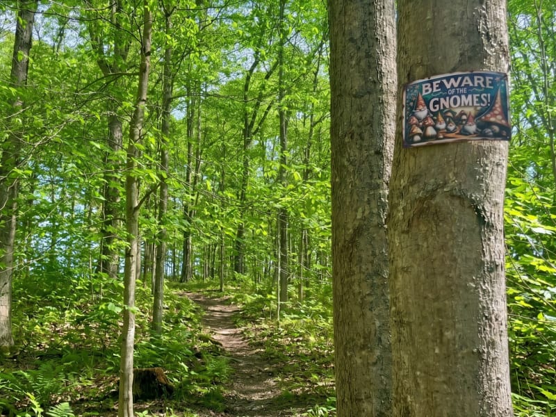Gnome trail show trail