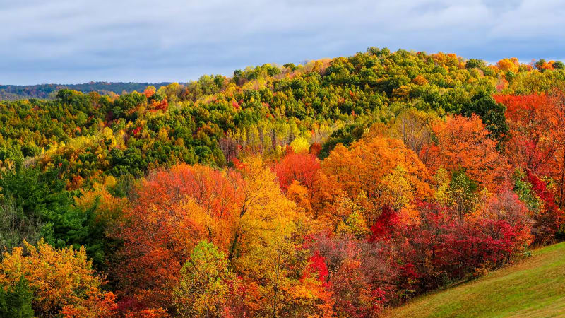 Peak fall foliage in a Hocking Hills gorge