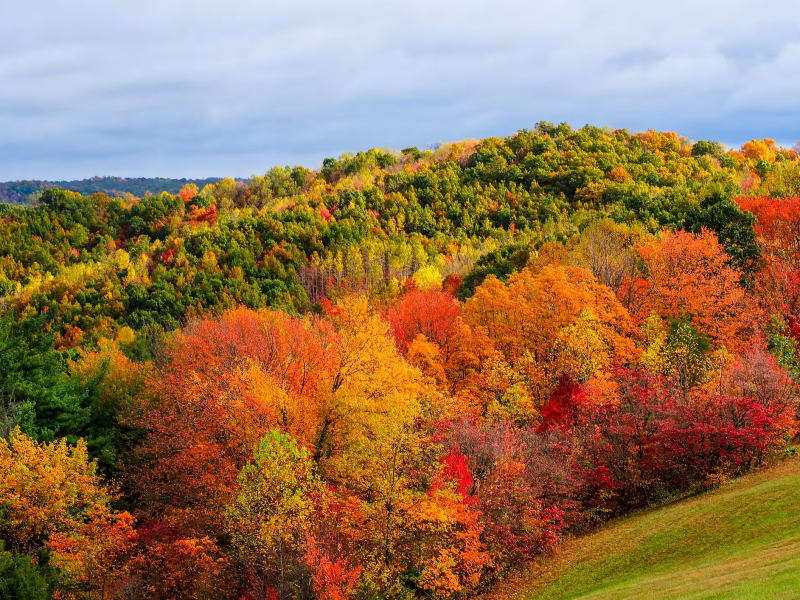 Autumn color across the forested gorges of Hocking Hills, Ohio
