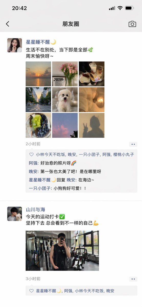ChatGPT App Showing WeChat Moments Screenshot example 2