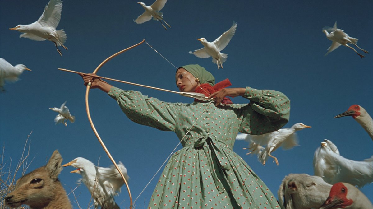 Surreal Archer With Birds and Animals AI image template preview