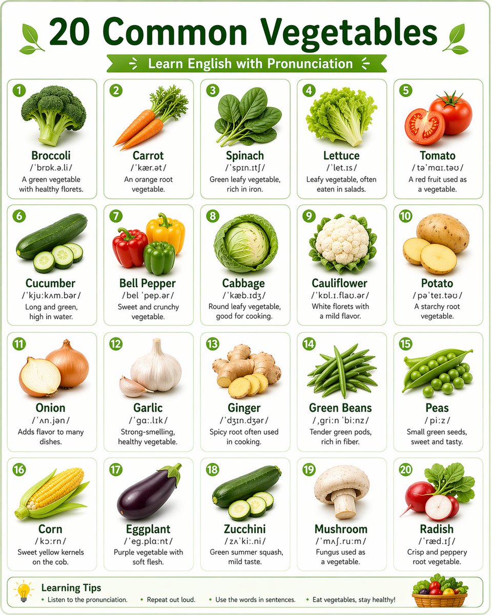 Language Learning Infographic Poster AI image template preview