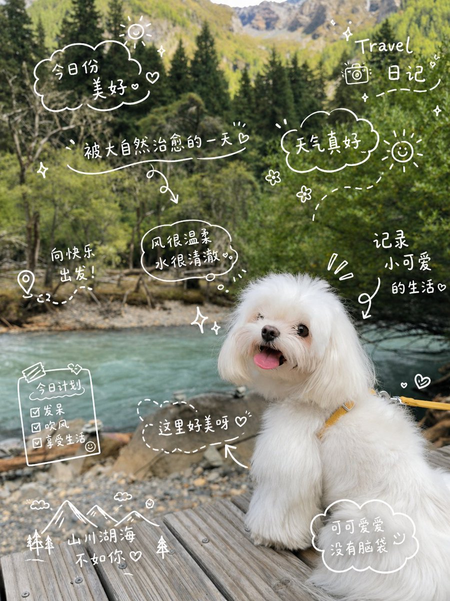Cute Dog Travel Diary Doodles AI image template preview
