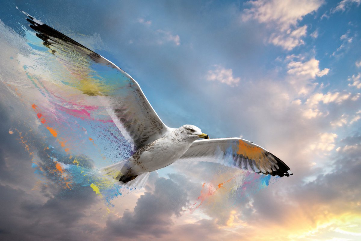 Realistic Bird with Artistic Traces example 2