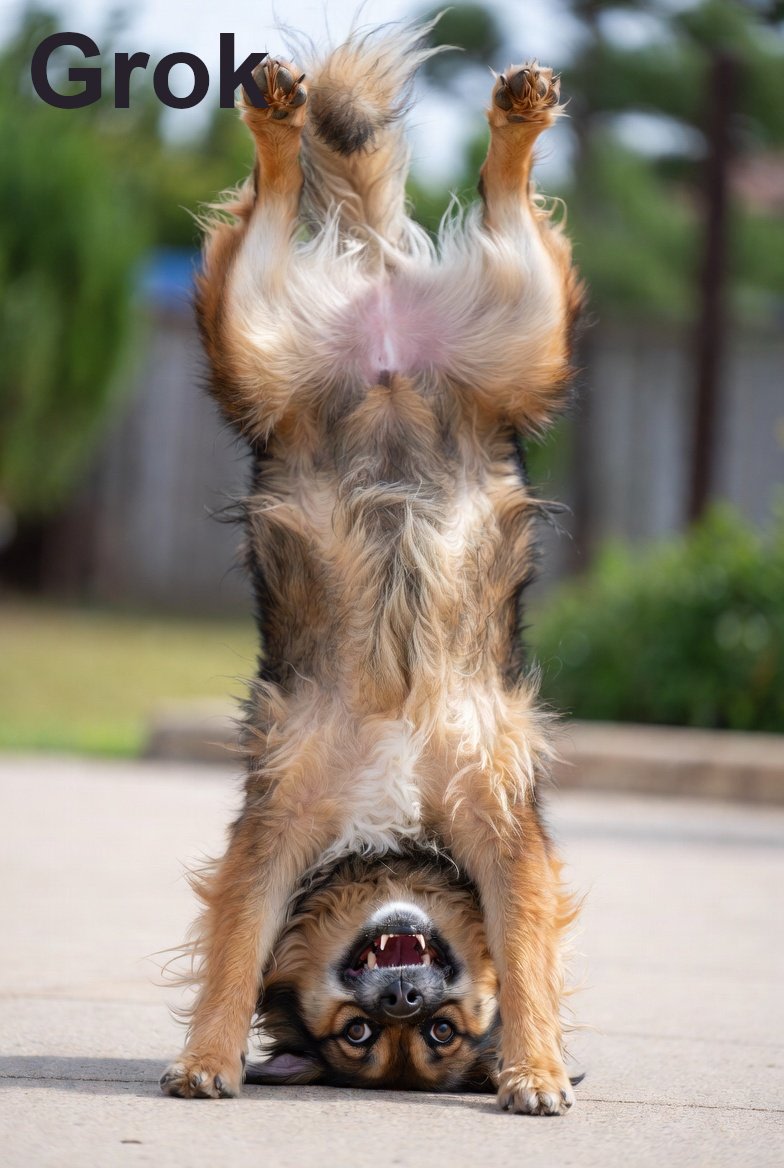 Humorous Dog Handstand Prompt AI image template preview