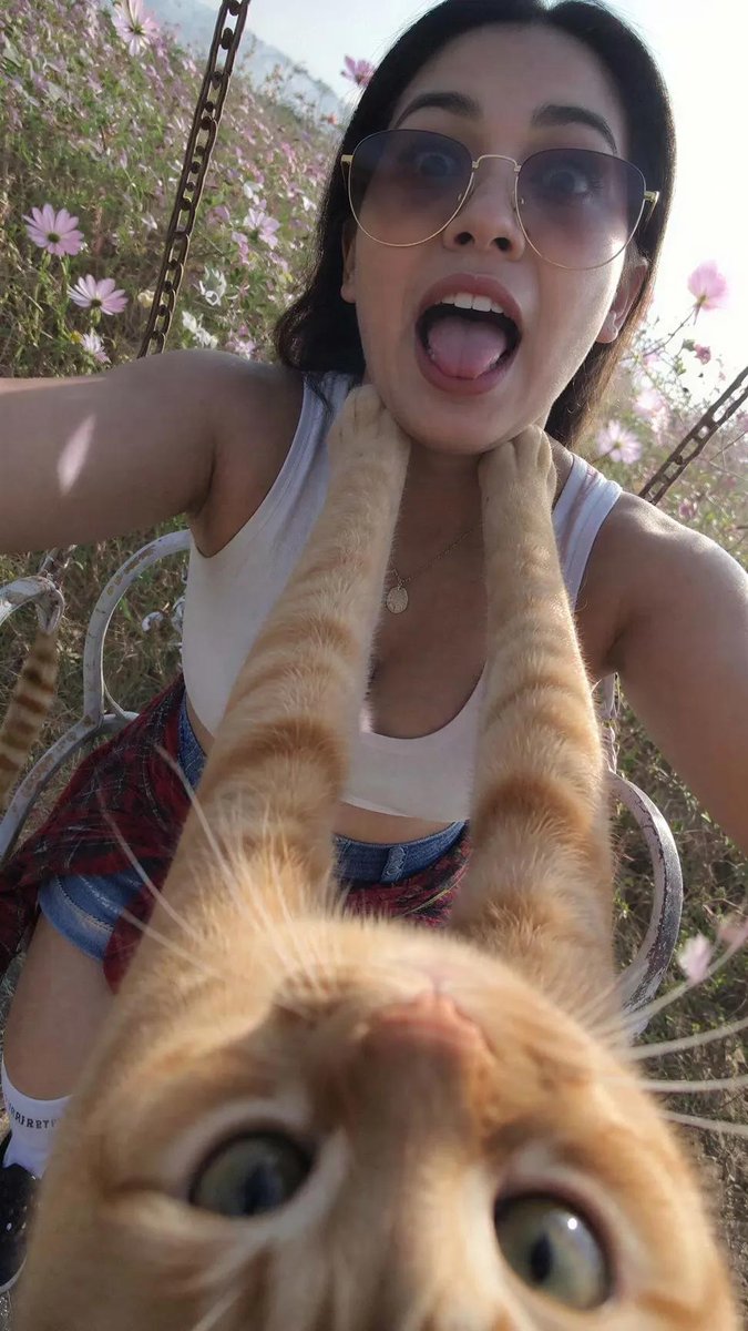 Funny Cat POV Selfie AI image template preview