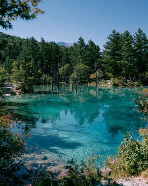 Turquoise Alpine Forest Pond AI image template preview