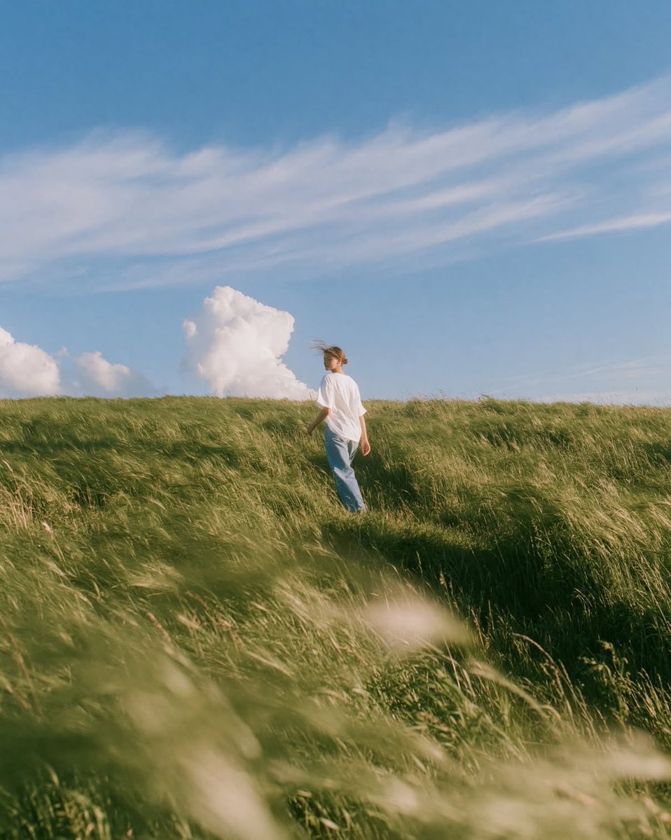 Airy Summer Wheat Field Portrait example 1