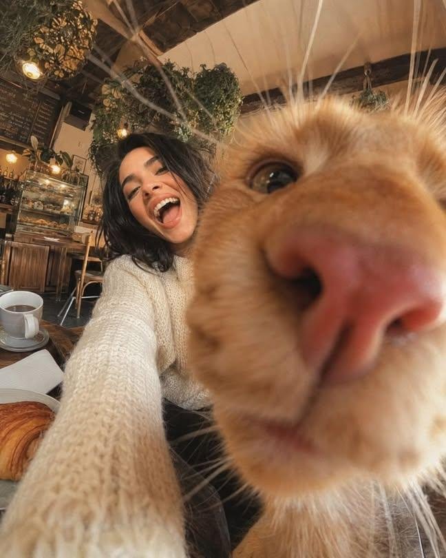 Extreme Wide-Angle Cat Photobomb Selfie example 1