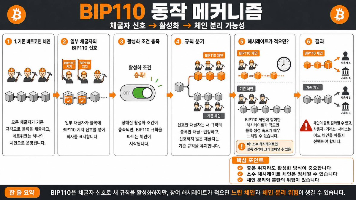 BIP110 Korean Infographic example 1
