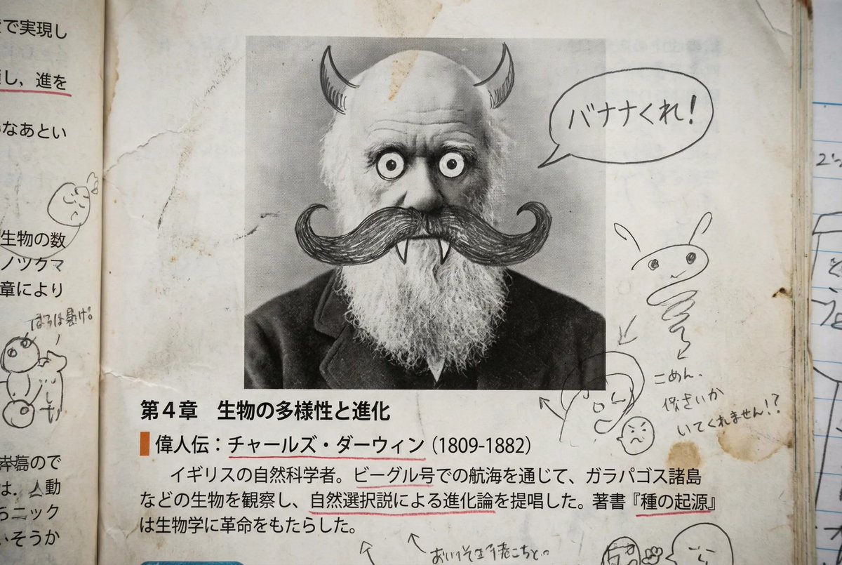 Middle schooler doodles on history textbook pages example 1