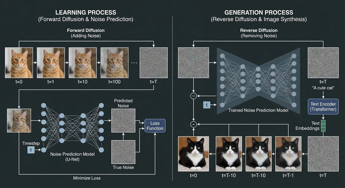 Diffusion model process diagram with cat and noise images AI image template preview