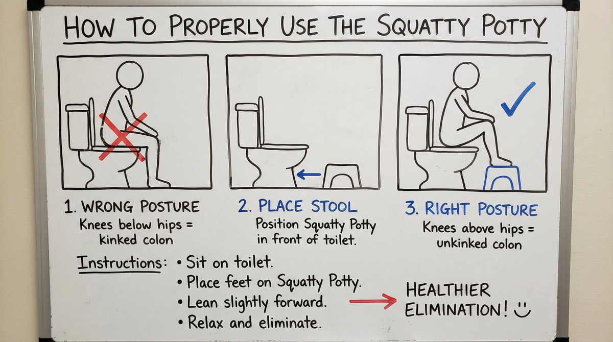 Squatty Potty whiteboard instructions AI image template preview