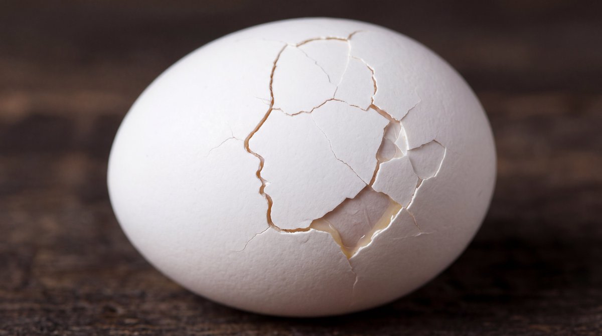Cracked Egg with Shape Outline AI image template preview
