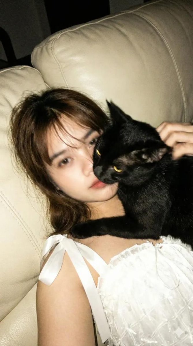 Low-Resolution Motion-Blurred Selfie with Cat example 2