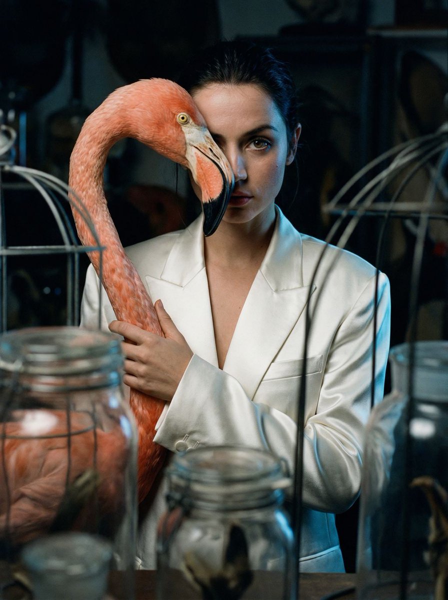 Surrealist Ornithology fashion editorial prompt AI image template preview