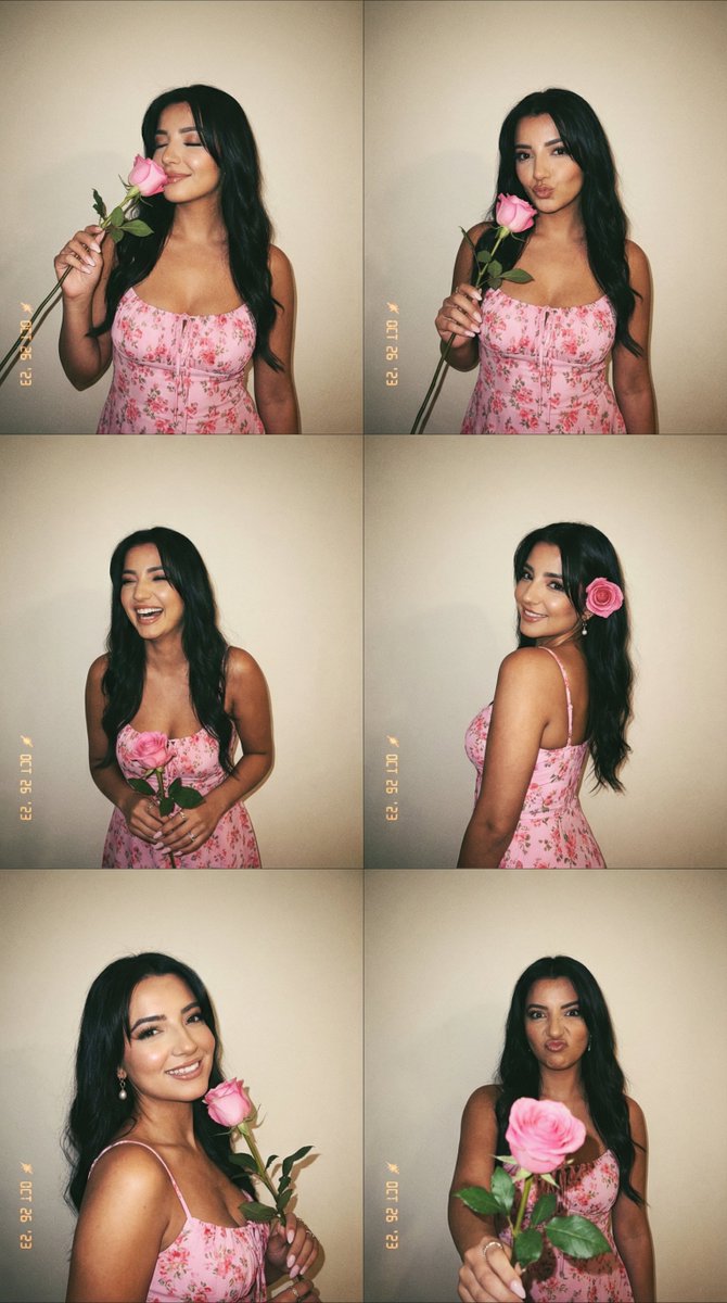 6-Panel Photobooth Grid with Pink Dress and Rose AI image template preview