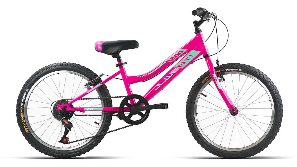 1200 Niña 20'' 5V 2026