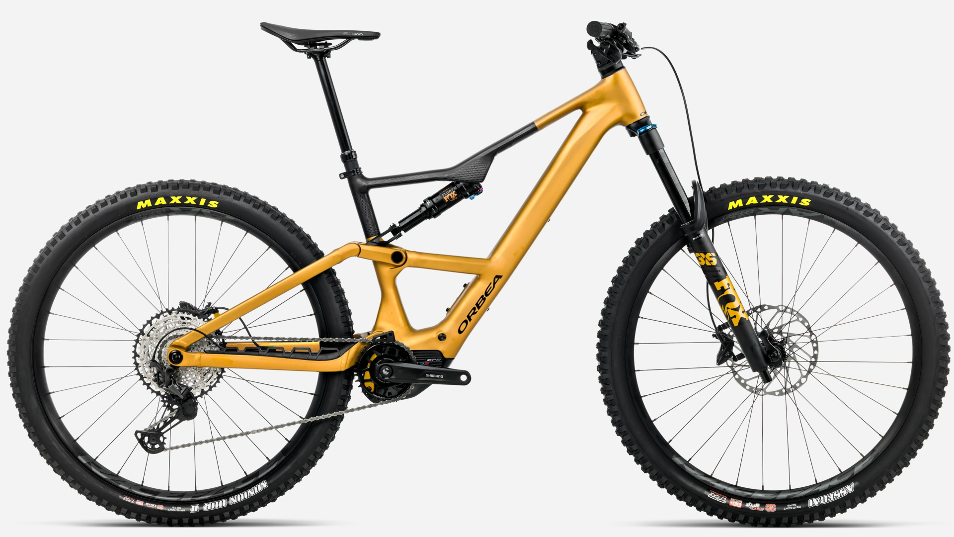 Rise LT H10 2026