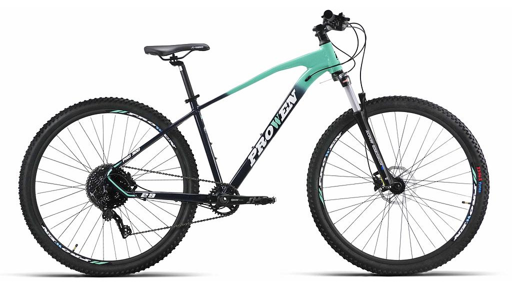 PRO300 29'' 2026